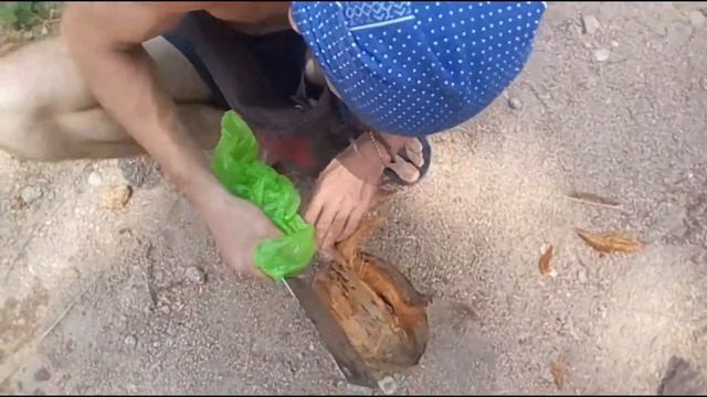 Король Джунглей #12