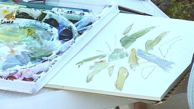 Watercolor Sketch of Monterey Cypress: Primary Shapes & Color смотреть онлайн