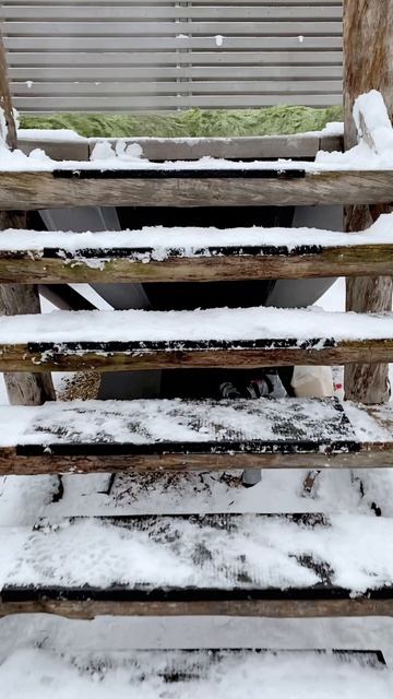 Паримся в молоке смотреть онлайн