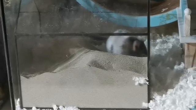 1000442208.mp4 смотреть онлайн