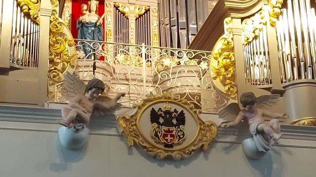 Орган.26.03.2025. смотреть онлайн