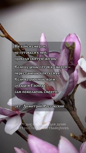 Доброе утро! 🤍 Свт. Димитрий Ростовский смотреть онлайн
