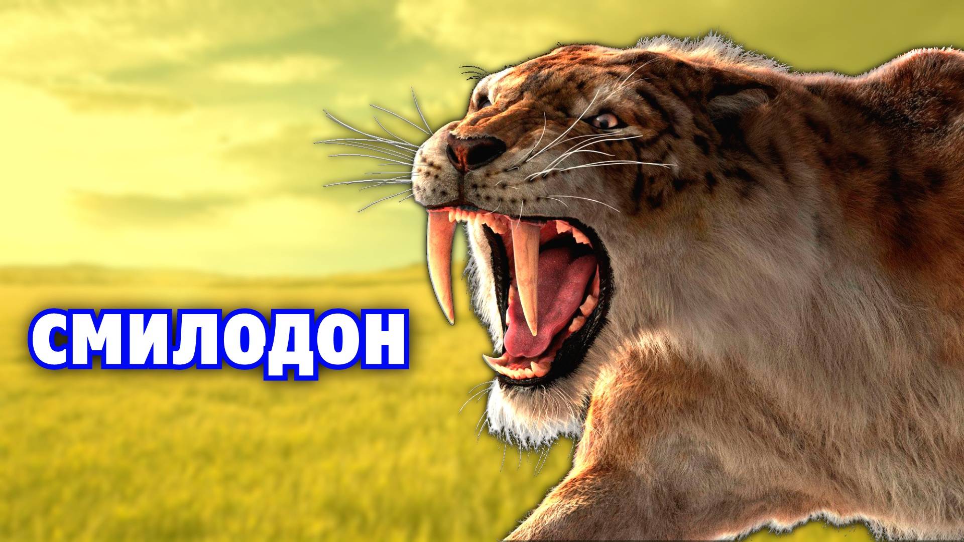 Саблезубый тигр | СМИЛОДОН | Вымершие животные. Видео про животных смотреть онлайн