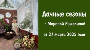 Дачные сезоны с Мариной Рыкалиной от 27 марта 2025 года