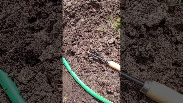 Прошу Бога дать здоровья и долголетия моему мужу. смотреть онлайн