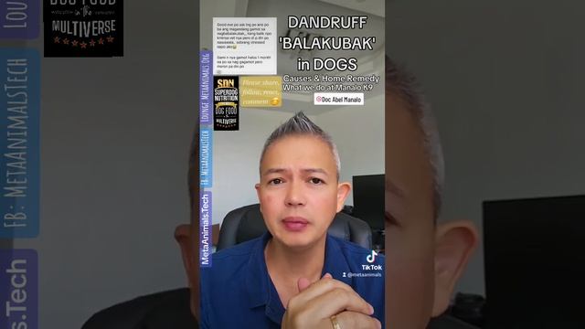 DANDRUFF "BALAKUBAK" IN DOGS : Causes & Home Remedy, How We Treat Them at Manalo K9 смотреть онлайн