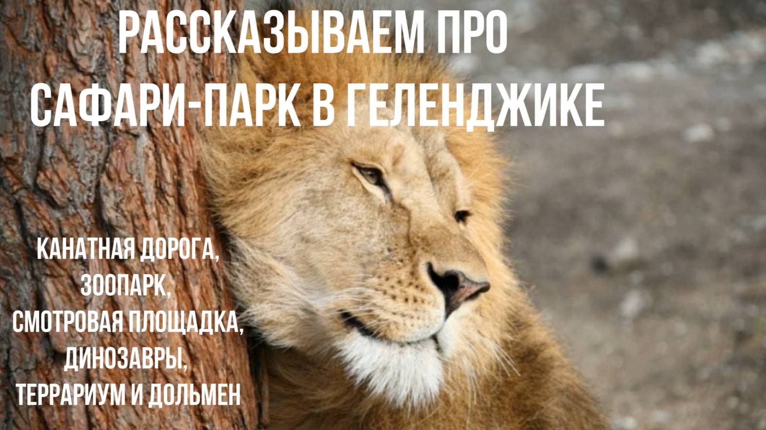 Рассказываем про Сафари-парк Геленджика, канатную дорогу, динозавров, террариум, дольмен смотреть онлайн