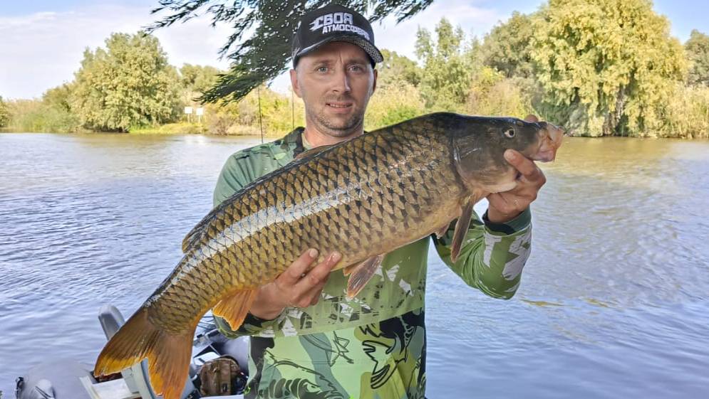 САЗАН УТАСКИВАЕТ СПИННИНГ, И ГНЁТ В ДУГУ. ЭТО НЕ РЫБАЛКА А МЕЧТА смотреть онлайн