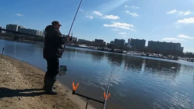 Здесь рыбы нет . Подлещик на фидер . #рыбалка2024 #ловлянафидер #рыбалканафидер смотреть онлайн