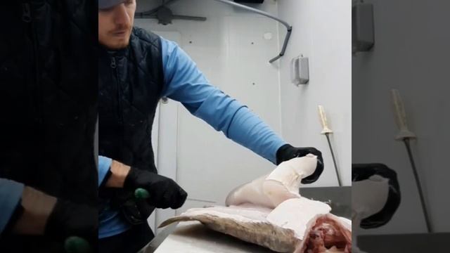 Atlantic halibut and some hip hop смотреть онлайн