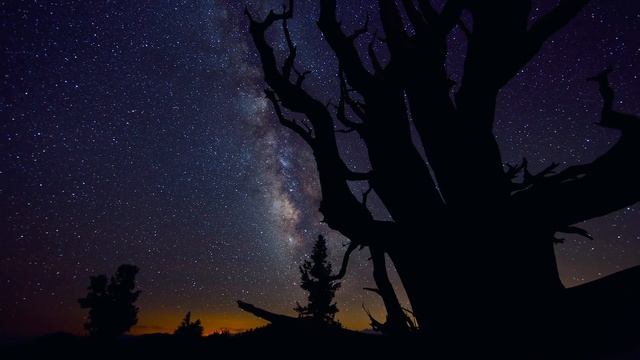 Красота нашей планеты и без лишних слов смотреть онлайн