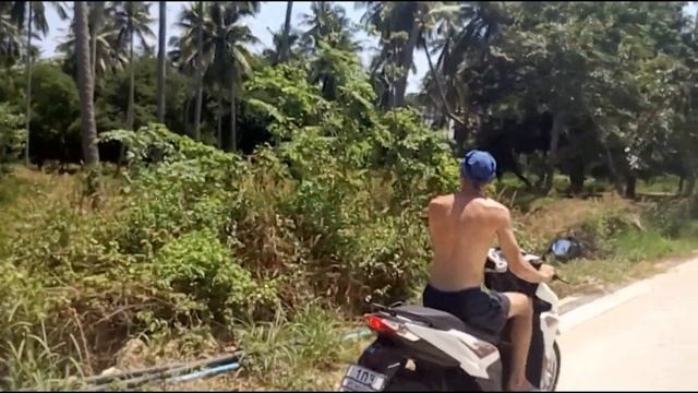 Король Джунглей трейлер