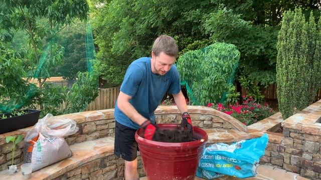 How to Plant and Grow Bananas in a Pot смотреть онлайн