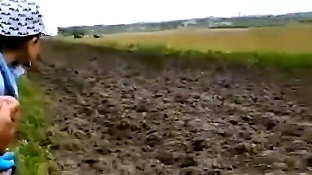 Скачки лошадей после дождя