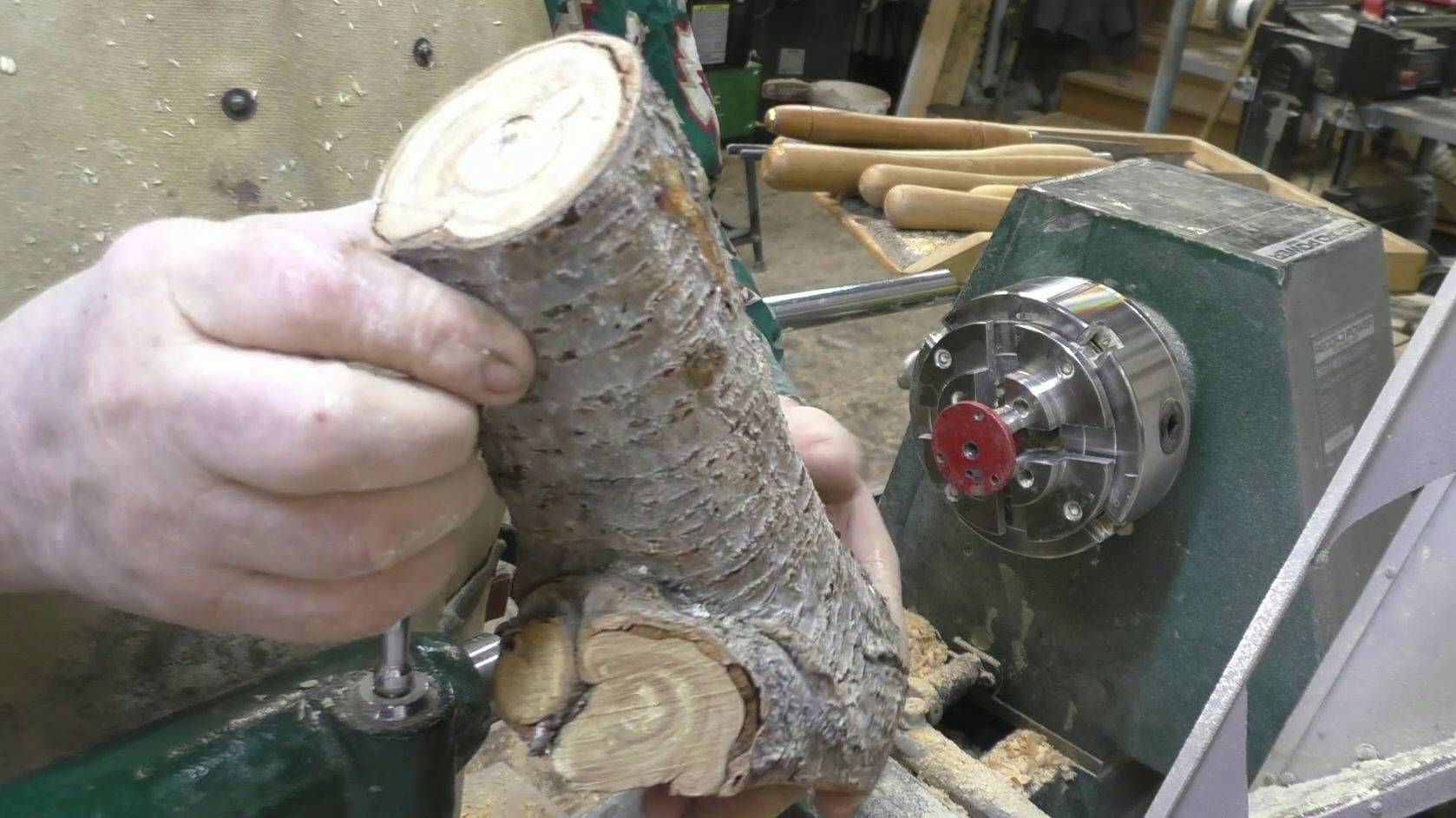 Вишнёвая ваза для сухоцветов с гнильцой и грибами. смотреть онлайн