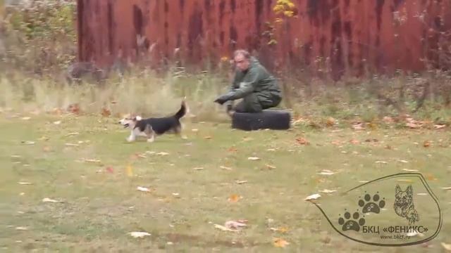 20.10.18 г. двойной подзыв 5 ч. смотреть онлайн
