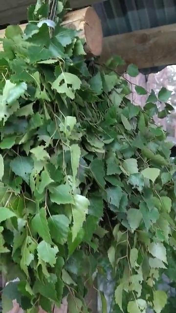 Липа 2020 смотреть онлайн