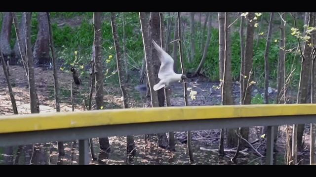 Юлия Кириллова - стих 
Миссис Калининский район