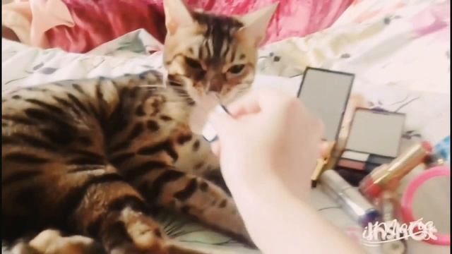 Косметика и реакция на неё/ make up and reaction to it смотреть онлайн