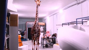 Фигура Жираф в натуральную величину