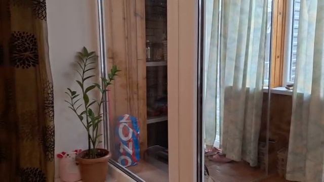 WhatsApp Video 2025-03-26 at 17.21.21 смотреть онлайн