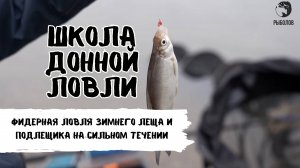 Фидерная ловля зимнего леща и подлещика на сильном течении. Школа донной ловли