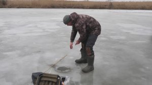 "НАРОДНЫЙ ПРОЕКТ АСТРАХАНЬ" Вам елочка нравится.