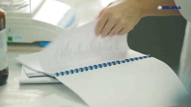 Selena Group Corporate Movie 2017 смотреть онлайн