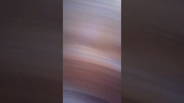Нутрии купаются 😃 смотреть онлайн