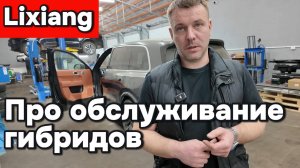 Обслуживание гибридов Лисян