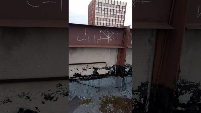 Теория Абсолютности или теория пиксельных пространств над полем гиперкомплексных чисел смотреть онлайн