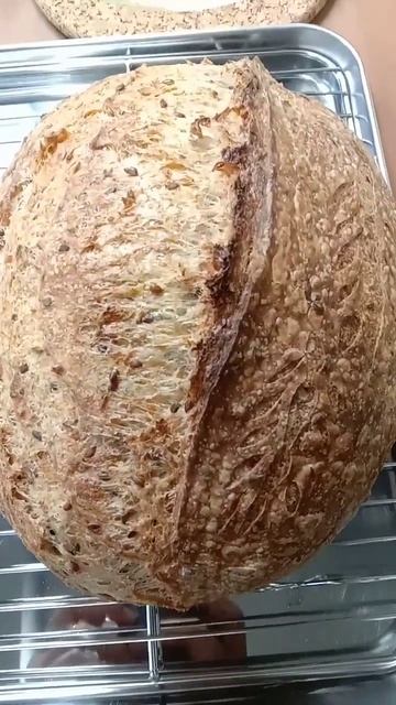 #short flaxseed & oat sourdough смотреть онлайн