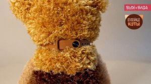 Мягкая игрушка Кот Фраппе 19 см, Кофейные Коты, CCat19-20, Budi Basa