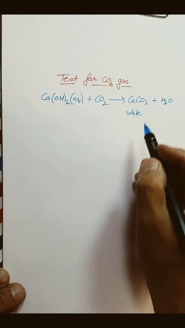 Test for carbon dioxide gas. | Science Class 10th CBSE. NCERT Exemplar. смотреть онлайн
