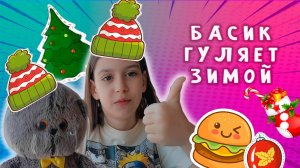 БАСИК С ХОЗЯЙКОЙ ГУЛЯЮТ / БАСИКИ БАСИКИ