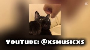 daryana - no makeup speed up