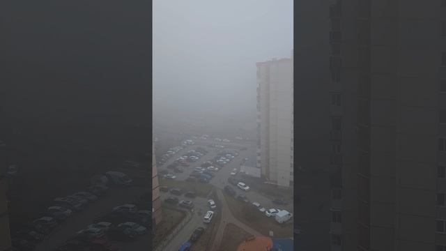27-03-2025 В Санкт-Петербурге  туман.