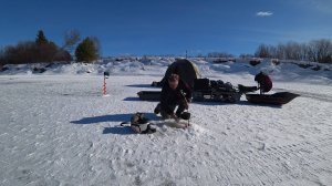 КРУТИТ-ВЕРТИТ, НО МЫ СТОИМ! ЖИВУ В ПАЛАТКЕ В УЖАСНУЮ ПОГОДУ \РЫБАЛКА НА ДОНКИ, РЫБА ЕЛЕЦ, ГДЕ НАЛИМ?