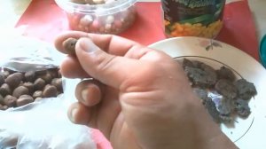 Ловля рыбы на сабачий кошачий корм чапи..
