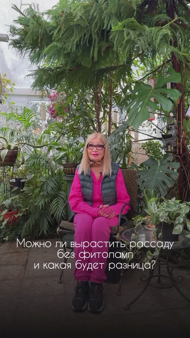 Можно ли вырастить рассаду без фитоламп? Стоит ли выращивать свои овощи самим? 🌱 смотреть онлайн