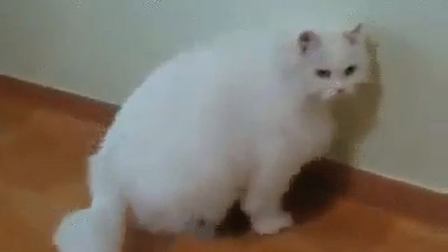 Наконец-то можно сесть ))))) смотреть онлайн