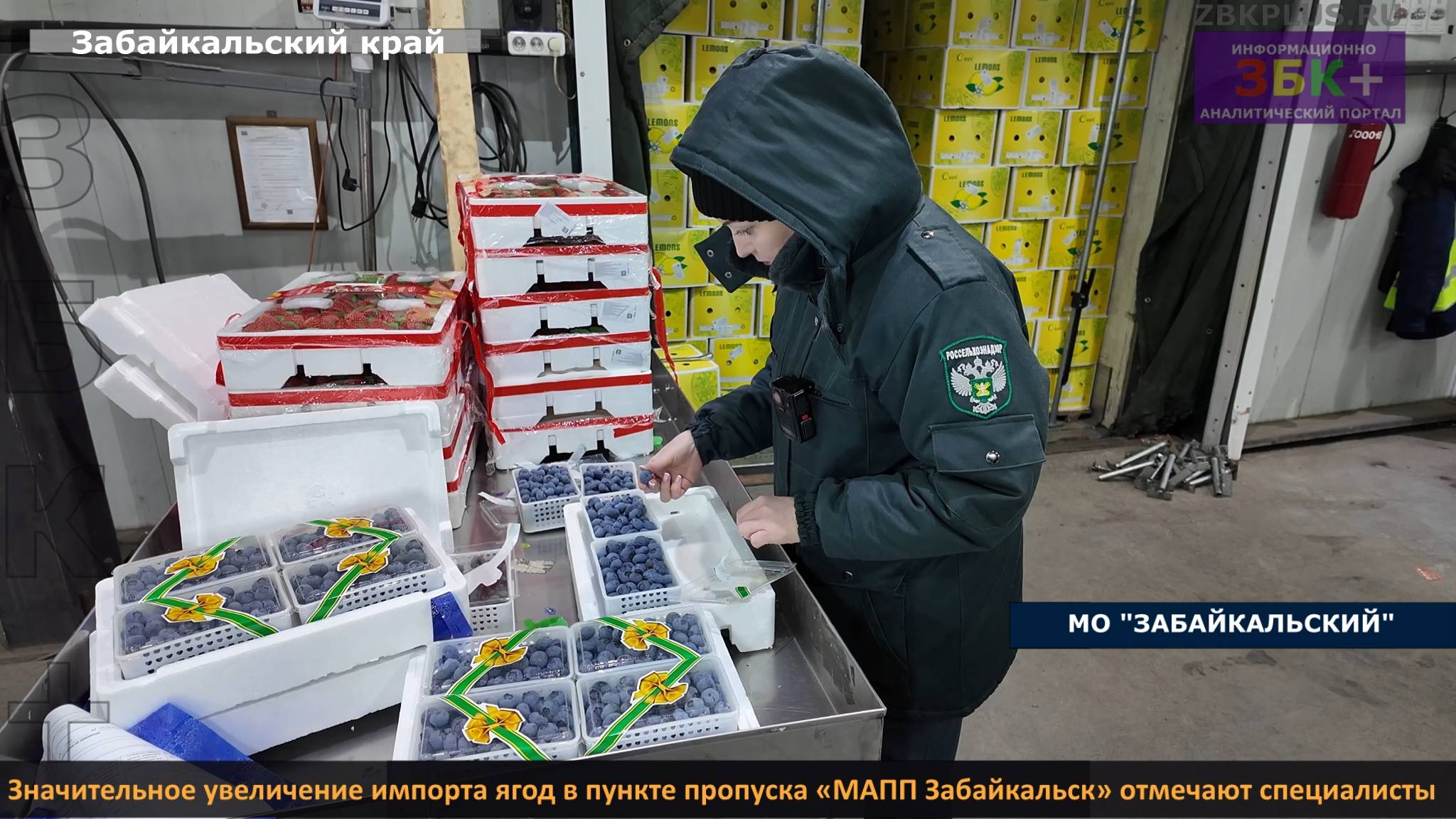 ЗБК + Значительное увеличение импорта ягод в пункте пропуска «МАПП Забайкальск» отмечают специалисты смотреть онлайн