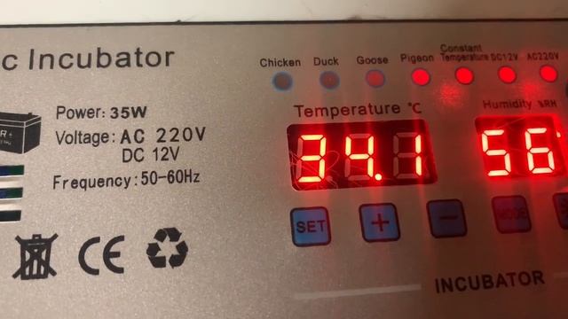 19 день инкубации в РЯБА 36. Китайский инкубатор. 26 марта 2025 года. смотреть онлайн