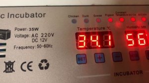 19 день инкубации в РЯБА 36. Китайский инкубатор. 26 марта 2025 года.