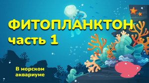 Попытка вырастить фитопланктон