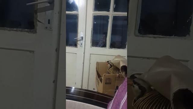 Denizli Kekliğin paşası смотреть онлайн