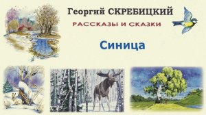 «Синица» Георгий Скребицкий. Слушать