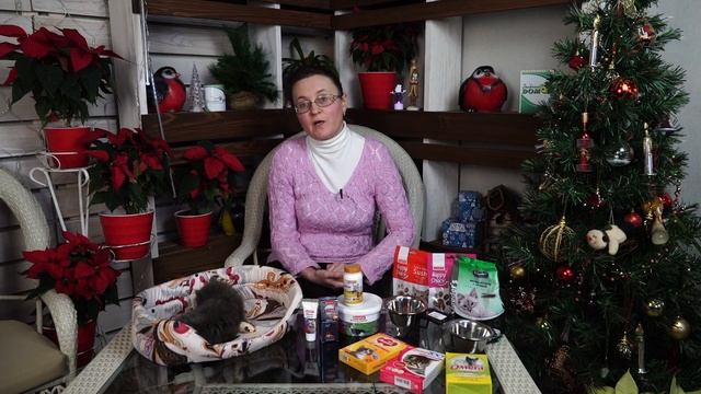 Натуральное питание для кошек смотреть онлайн