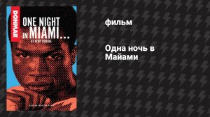 Одна ночь в Майами (фильм, 2020)