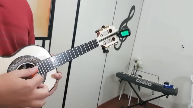 Como Saber Se O Cavaquinho Afina 100% Na Hora De Comprar?